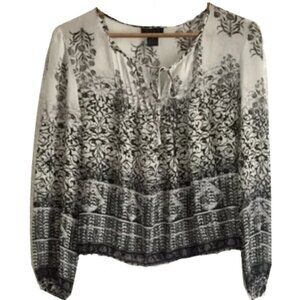 The Limited Silk Sheer Peasant Blouse